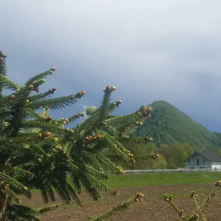 Pri Ancki Sobe Ljubljana Suburbs לינה וארוחת בוקר 3*