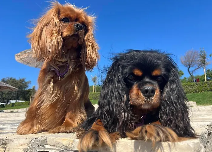 Pri Ancki Sobe Ljubljana Suburbs Bed & Breakfast Medvode