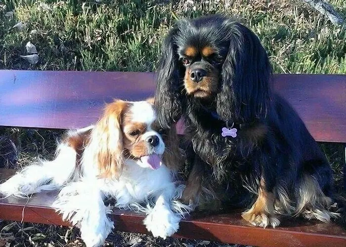 Pri Ancki Sobe Ljubljana Suburbs Bed & Breakfast 3*