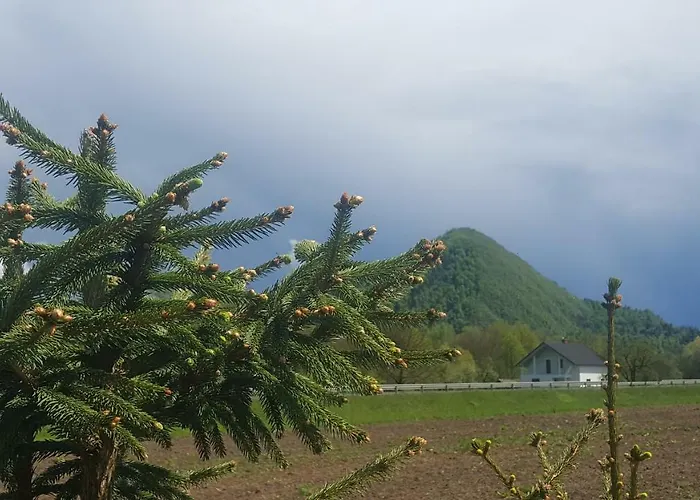 Pri Ancki Sobe Ljubljana Suburbs Bed & Breakfast 3*